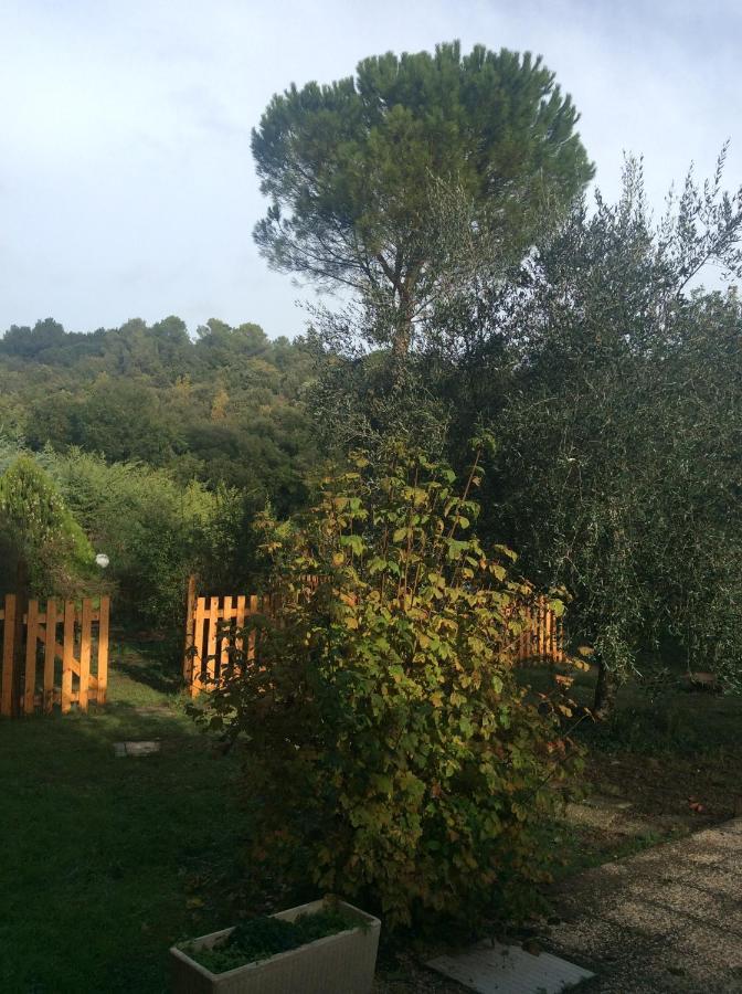 B&B Il Frassino Perugia Kültér fotó
