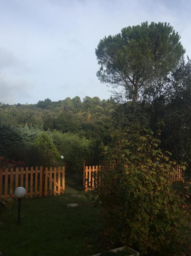 B&B Il Frassino Perugia Kültér fotó