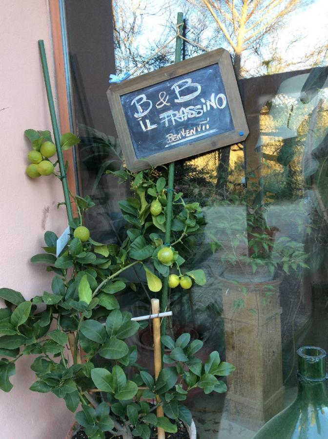 B&B Il Frassino Perugia Kültér fotó